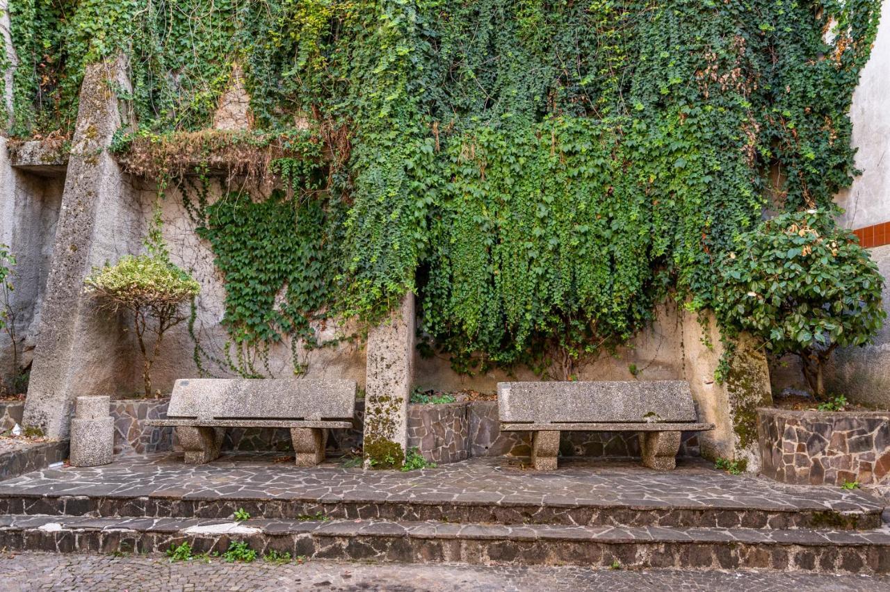 Piazza Laurino Apartments Basic Excursions Alto Cilento Cammino Giubilare Di Santelena 外观 照片